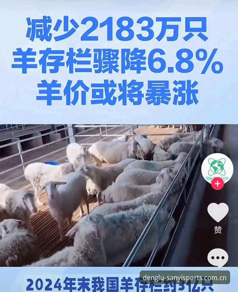 三亿体育官网入口评测：2024最新版本下载与平台登录体验深度解析